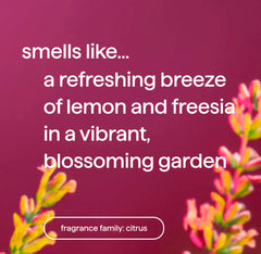 all-purpose cleaner - Lemon + Freesia, 28 fl oz