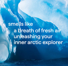 men's body wash trio