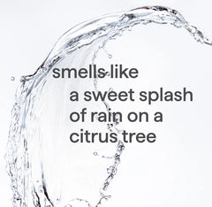 sweet water gel handwash starter set