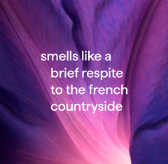 all-purpose cleaner - french lavender, 28 fl oz