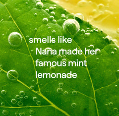 foaming hand wash - lemon mint, 10 fl oz