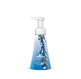 foaming hand wash - frost + flurry, 10 fl oz