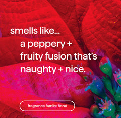 foaming hand wash - dahlia + delight, 10 fl oz