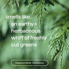 men body wash trio, 84 oz.