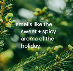 gel hand wash - balsam + berry, 12 fl oz