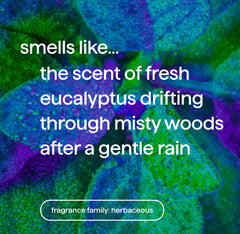 foaming hand wash - eucalyptus + rosemary, 10 fl oz