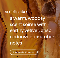 gel hand wash refill - vetiver + amber, 34 fl oz 1