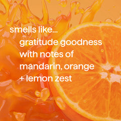 body wash - gratitude goodness, 18 fl oz