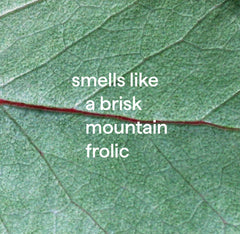 daily shower spray - eucalyptus mint, 28 fl oz