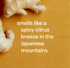 squirt + mop hard floor cleaner - ginger yuzu, 25 fl oz