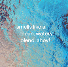 dish soap - sea minerals, 18 fl oz