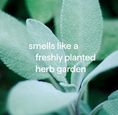 stain + odor treatment - spearmint sage, 20 fl oz