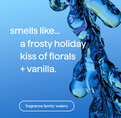 foaming hand wash - frost + flurry, 10 fl oz