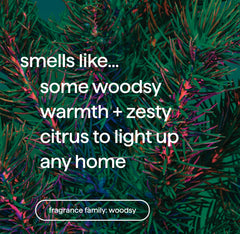 foaming hand wash - juniper + joy, 10 fl oz